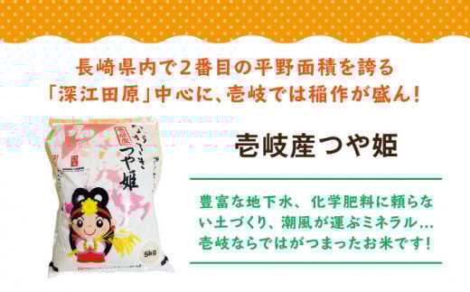 【R7年度産米】壱岐産 つや姫 5kg 《壱岐市》【壱岐市農業協同組合】[JBO024] 米 お米 白米 5キロ ご飯 ごはん お弁当 朝食 17000 17000円