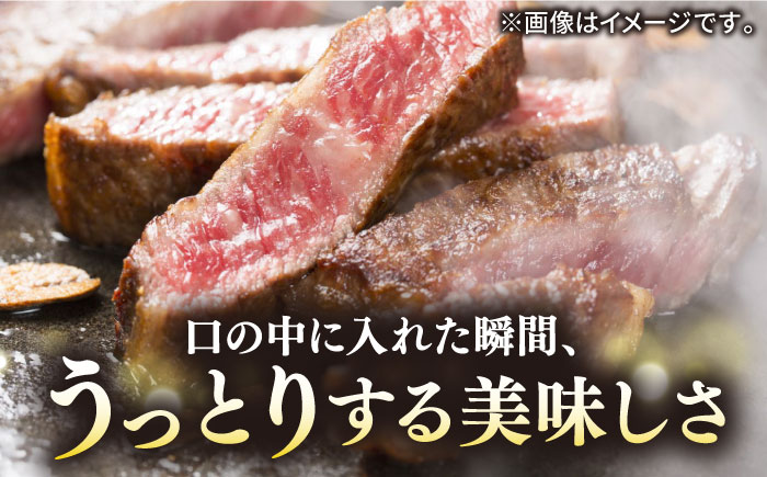 極上 壱岐牛 A5ランク Tボーンステーキ 約550~650g（雌）30日間熟成《壱岐市》【KRAZY MEAT】 [JER006] ヒレ 赤身 ステーキ サーロイン 熟成 熟成肉 牛肉 希少部位 骨つき肉 84000 84000円