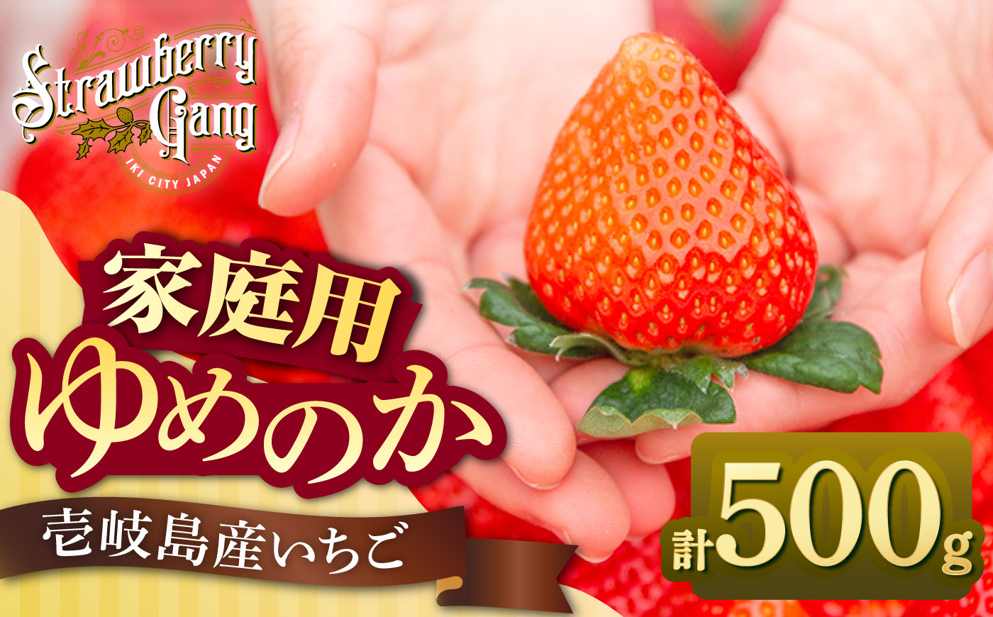 【先行予約】【訳あり/簡易包装】ゆめのか 約250g × 2パック【2027年1月以降順次発送】 《壱岐市》【Strawberry Gang】[JEM006] セット いちご イチゴ 苺 果物 フルーツ スムージー 訳あり 8000 8000円