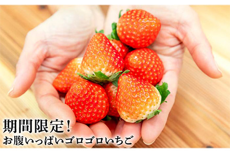 お徳用 バラ詰め イチゴ 1kg （ゆめのか・恋みのり）《壱岐市》【蒼花】[JEO002-CP02] いちご イチゴ 苺 フルーツ 果物 スムージー ジャム ゆめのか 恋みのり セット 食べ比べ 冷蔵 8000 8000円