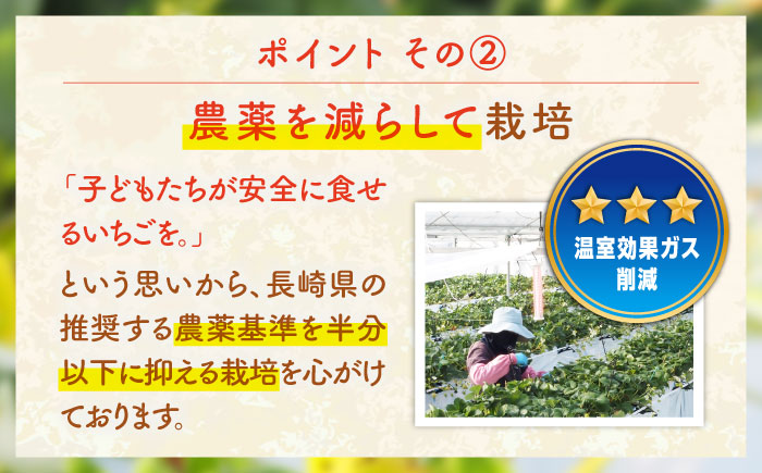 家庭用 バラ詰め イチゴ 1kg （ゆめのか・恋みのり）《壱岐市》【蒼花】[JEO002] いちご イチゴ 苺 フルーツ 果物 スムージー ジャム ゆめのか 恋みのり セット 食べ比べ 冷蔵 10000 10000円