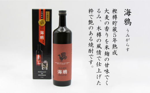 【全3回 定期便 】麦焼酎 海鴉 25度 720ml 2本入りセット 《 壱岐市 》【天下御免】[JDB110] 48000 48000円