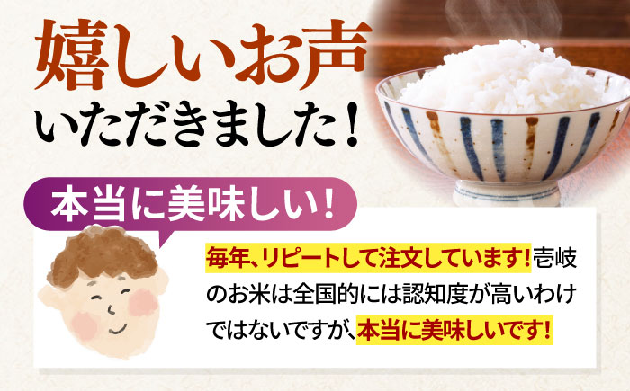 【全3回定期便 】【R6年度産】天日自然乾燥米 にこまる 5kg《壱岐市》【長米壱岐営業所】[JCZ010] 米 お米 白米 精米 ご飯 ごはん 5キロ 15kg 15キロ かけ干し 自然乾燥 特A   30000 30000円 3万円