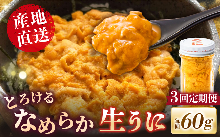 【全3回定期便】数量限定！壱岐の生うに 60g×1本《壱岐市》【大幸物産】生ウニ 生雲丹 うに ウニ 雲丹 希少 産地直送 冷凍配送 定期便 57000円 57000 5.7万円 [JEH025]