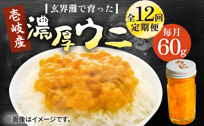 【全12回定期便】壱岐産 濃厚 ウニ60g《壱岐市》【合同会社塚元】ムラサキウニ 海産物 海鮮 ウニ うに 雲丹 珍味 [JDR032] 200000 200000円 20万円