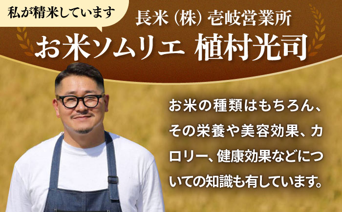 【全3回定期便 】【R6年度産】天日自然乾燥米 にこまる 5kg《壱岐市》【長米壱岐営業所】[JCZ010] 米 お米 白米 精米 ご飯 ごはん 5キロ 15kg 15キロ かけ干し 自然乾燥 特A   30000 30000円 3万円