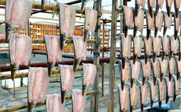 特大アカカマスの開き 干物 計600g（3～4枚）《壱岐市》【馬渡水産】かます カマス アカカマス 赤カマス ひもの 干物 冷凍配送 [JAQ036]