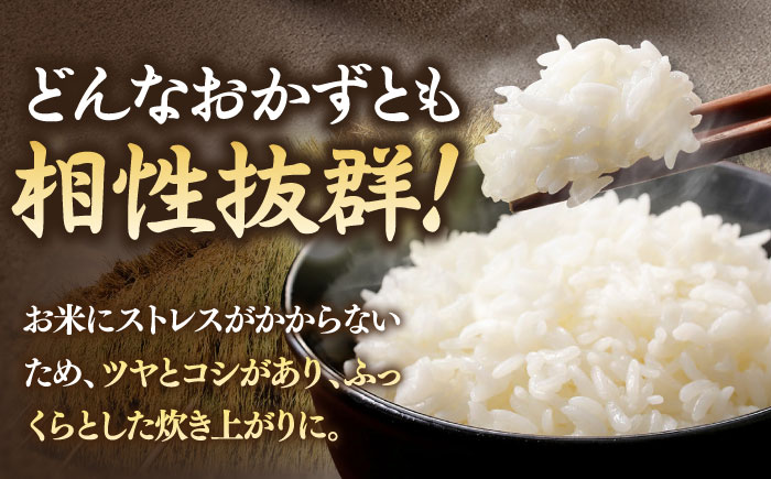 なつほのか 10kg [JCZ015] 米 お米 ごはん ご飯 なつほのか 特A 27000 27000円