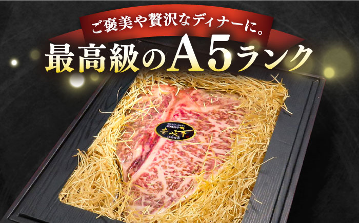 極上 壱岐牛 A5ランク Tボーンステーキ 約550~650g（雌）30日間熟成《壱岐市》【KRAZY MEAT】 [JER006] ヒレ 赤身 ステーキ サーロイン 熟成 熟成肉 牛肉 希少部位 骨つき肉 84000 84000円