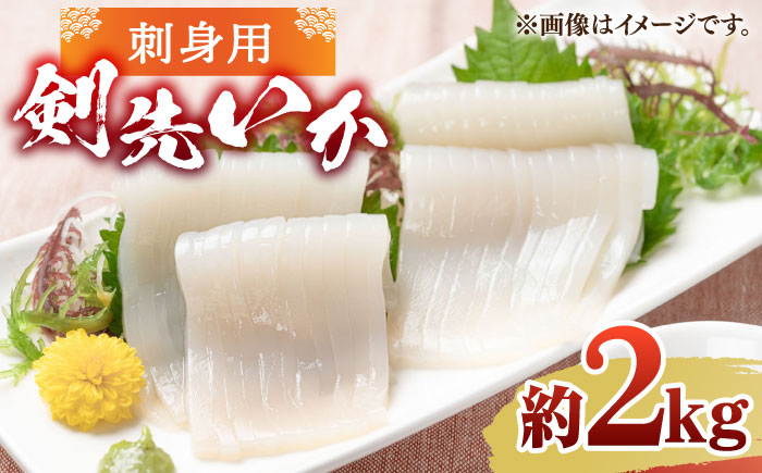 刺身用 剣先イカ 約2kg（急速冷凍）《壱岐市》【魚助】 イカ いか 剣先いか ケンサキイカ 刺身 刺し身 お刺身 鮮魚 海鮮 [JFX001]