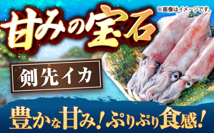 【冷凍】剣先イカ 刺身用 1kg　剣先烏賊 《壱岐市》 【一支國屋】海鮮 烏賊 イカ いか 刺身 刺し身 お刺身 剣先イカ 冷凍配送 [JCC021]