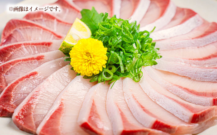 ブリの出張解体ショー《壱岐市》【壱岐島 玄海屋】 [JBS128] 1500000 1500000円 150万円