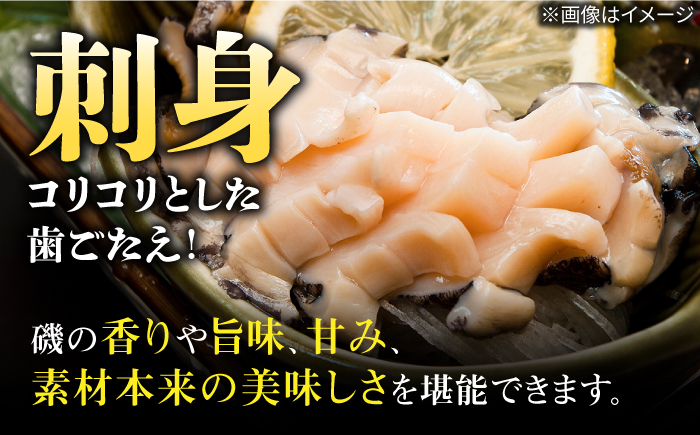 国産養殖アワビ 活き！壱岐！アワビ 計500g（約100g×5枚）《壱岐市》【住吉水産】アワビ 鮑 養殖 貝 海産物 魚介 魚貝 産地直送 お刺身 冷蔵発送 [JDQ007]