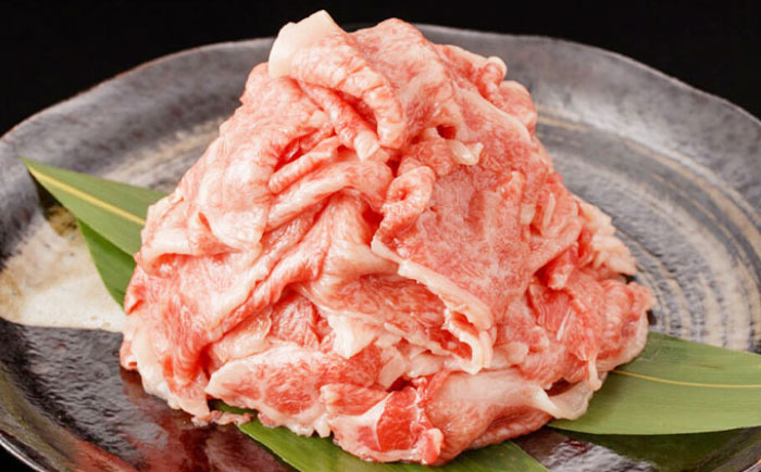 【最高級A5ランク】長崎和牛 ロース 小間切れ 800ｇ（400g×2パック）《壱岐市》【肉の相川】 牛肉 牛 和牛 こま切れ 牛丼 カレー 肉じゃが 贈答 ギフト 贈り物 お中元 お歳暮 精肉 冷凍配送 A5 [JGB015]