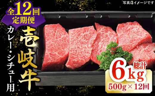 【全12回定期便】 特選 壱岐牛 すね肉 500g（カレー・シチュー用）《壱岐市》【太陽商事】[JDL084] 肉 牛肉 黒毛和牛 ブランド牛 カレー シチュー 赤身 チマキ 煮込み ブロック 144000 144000円