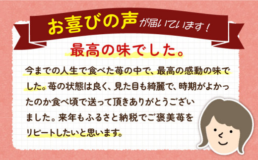 【先行予約】ゆめ恋セット（ゆめのか・恋みのり）計1kg【2025年2月以降順次発送】《壱岐市》【蒼花】[JEO001] いちご イチゴ 苺 フルーツ 果物 スムージー ジャム ゆめのか 恋みのり セット 食べ比べ 小分け パック 冷蔵 あまおう 14000 14000円