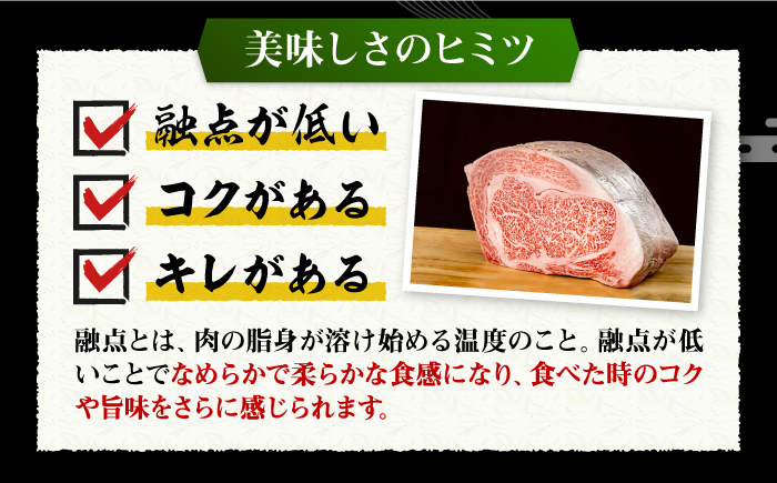 【全2回定期便】 壱岐牛 ロースブロック 500g《壱岐市》【株式会社イチヤマ】 肉 牛肉 ロース ブロック ステーキ BBQ [JFE116]