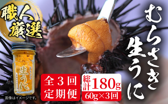 【全3回定期便】壱岐島産 老舗の厳選 おさだの生うに 60g×1本 [JAO036]