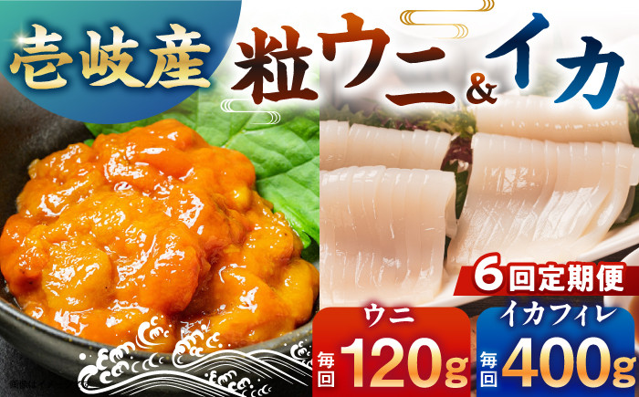 　【冷凍】全6回定期便　壱岐産剣先イカフィレ(80g)×5枚　壱岐産粒うに瓶60g×1本　《壱岐市》　【一支國屋】 [JCC018]