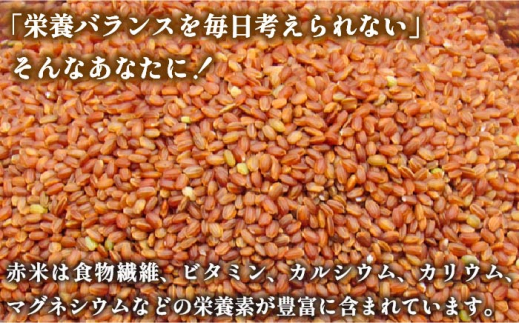 【予約受付】古代米 黒米 赤米 緑米 計3kg (3種各1kg) 原の辻遺跡《壱岐市》【天下御免】 [JDB126] 16000 16000円