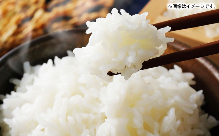 壱岐産米と壱岐牛カレープレミアムセット 《壱岐市》【壱岐フードファクトリー】 白米 ごはん ご飯 カレー レトルト 食品 レンジ 仕送り 肉 牛肉 和牛 壱岐牛 [JDW155]