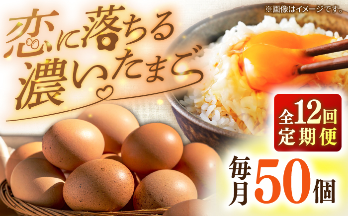 【全12回定期便】特選 素直な恋たまご 50個 《壱岐市》【しまのたまご屋さん】 [JAP025] 卵 たまご 鶏卵 玉子 ギフト 国産 卵かけご飯 たまごかけご飯 のし 定期便 [JAP025]