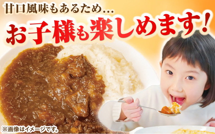 壱岐のお宝カレー全部お届けセット《壱岐市》【アットマーク】 常温配送 カレー ご当地カレー レトルト 簡単調理 [JDW038]