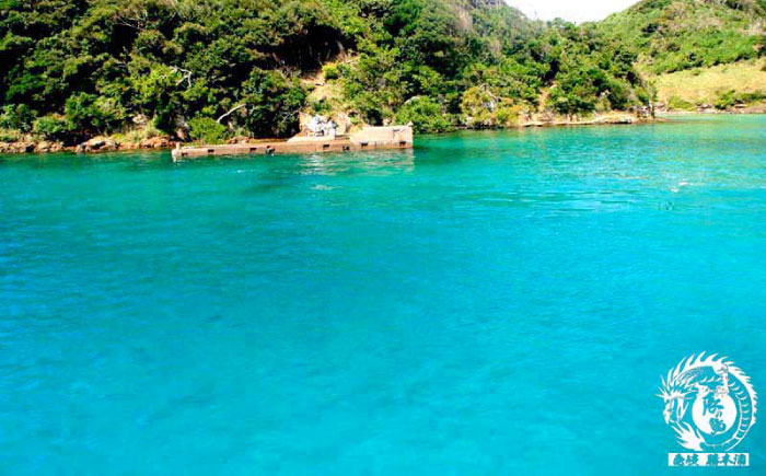 辰ノ島クルージング(辰ノ島遊覧)子ども1名様分《壱岐市》【勝本町漁業協同組合】 [JFN005] 5000 5000円 5千円