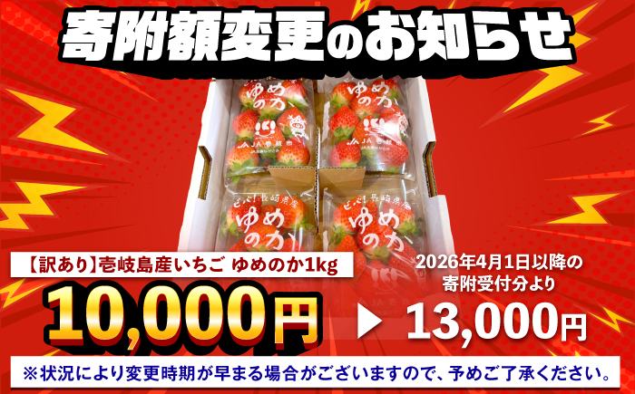 【訳あり/簡易包装】ゆめのか 約250g×4パック《壱岐市》【Strawberry Gang】 [JEM003-CP02] イチゴ 苺 果物 フルーツ スムージー 10000 10000円 冷蔵配送 訳あり