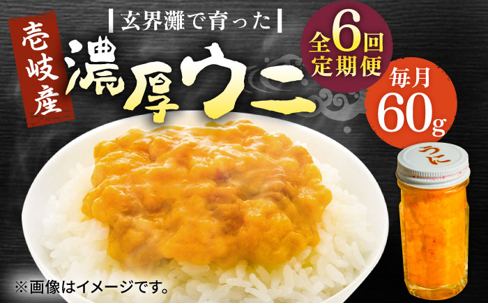 【全6回定期便】壱岐産 濃厚 ウニ60g《壱岐市》【合同会社塚元】ムラサキウニ 海産物 海鮮 ウニ うに 雲丹 珍味 [JDR031]