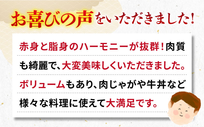 【全6回定期便】《A4〜A5ランク》壱岐牛切り落とし 500g [JBO063] 肉 牛肉 切落し すき焼き しゃぶしゃぶ 鍋 うす切り 細切れ 赤身 定期便 66000 66000円