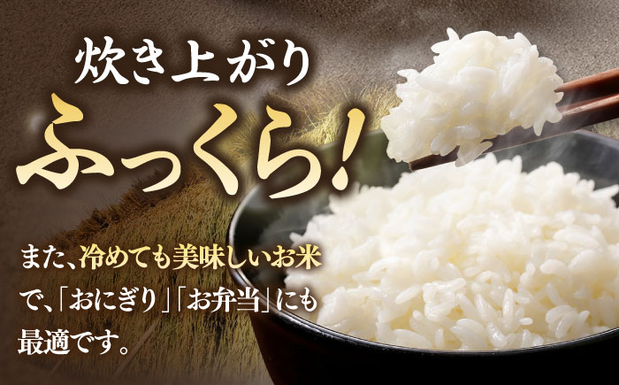 【R7年度産】こしひかり 10kg 《壱岐市》 【長米壱岐営業所】[JCZ019] 米 お米 白米 精米 ごはん ご飯 こしひかり コシヒカリ 30000 30000円