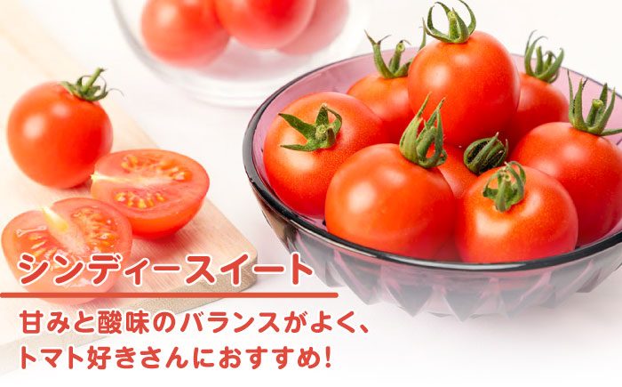 ミディアムトマト 2種 （フルティカ・シンディースイート） 計3kg 《壱岐市》【ISLAND FARM】 トマト 生鮮 野菜 食べ比べ 22000 22000円 [JFL002]