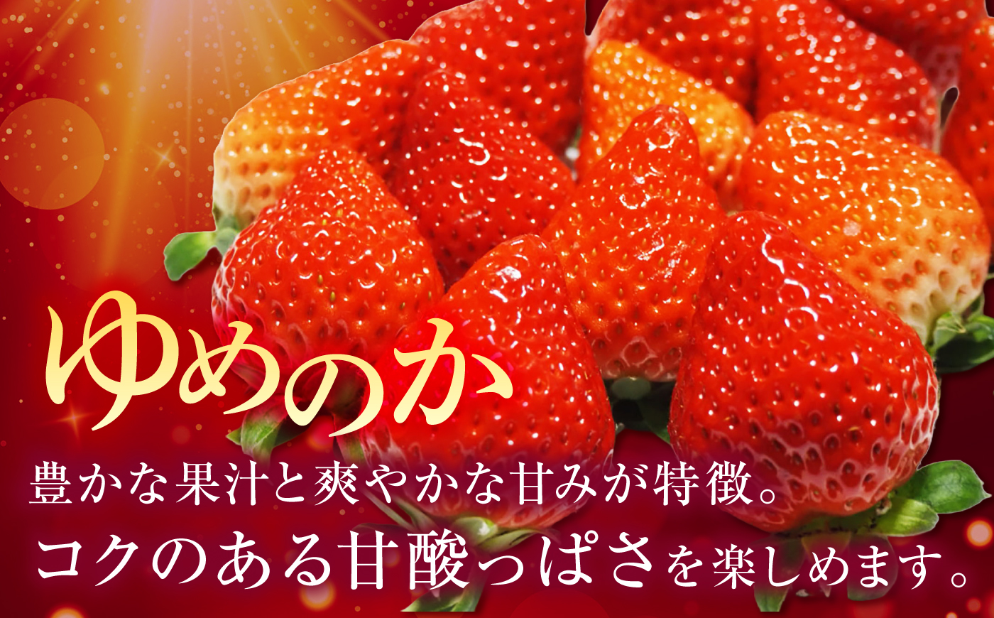 【先行予約】ゆめのか 約250g×4パック【2027年1月以降順次発送】《壱岐市》【Strawberry Gang】 [JEM001] いちご イチゴ 苺 果物 フルーツ スムージー 15000 15000円