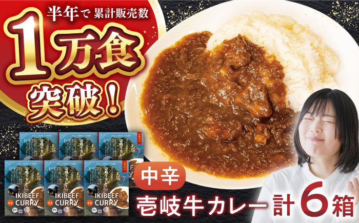 壱岐牛カレー中辛づくし《壱岐市》【アットマーク】常温配送 カレー ご当地カレー レトルト 簡単調理 [JDW041]