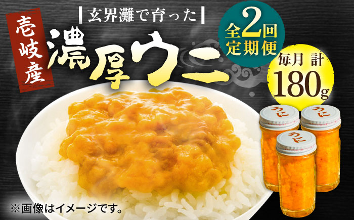 【全2回定期便】壱岐産 濃厚 ウニ 60g ×3本《壱岐市》【合同会社塚元】ムラサキウニ 海産物 海鮮 うに 雲丹 珍味 [JDR037]