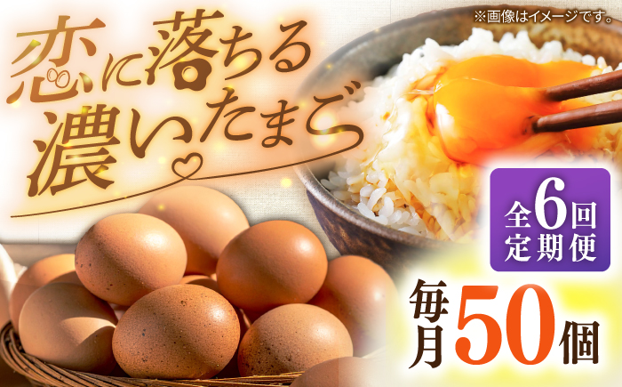 【全6回定期便】特選 素直な恋たまご 50個 《壱岐市》【しまのたまご屋さん】 [JAP024] 卵 たまご 鶏卵 玉子 ギフト 国産 卵かけご飯 たまごかけご飯 のし 定期便 [JAP024]