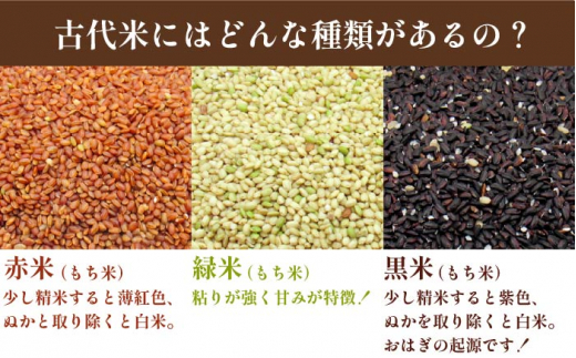 【予約受付中】 古代米 赤米 4kg （1kg入り × 4袋） 壱岐島の古代米 原の辻遺跡《壱岐市》【天下御免】 [JDB123] 13000 13000円