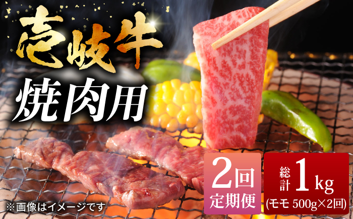 【全2回定期便】壱岐牛焼き肉セット 500g《壱岐市》【株式会社ヤマグチ】牛肉 黒毛和牛 ブランド牛 九州 肉 [JCG126]