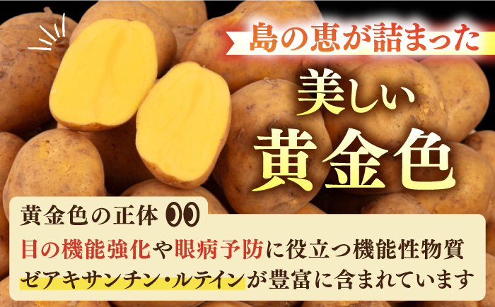 【2月中旬以降順次発送】壱岐黄金じゃがいも 5kg 《壱岐市》【壱岐市農業協同組合】 じゃがいも ジャガイモ ポテト 野菜 季節の野菜 夏野菜 冬野菜 [JBO139]