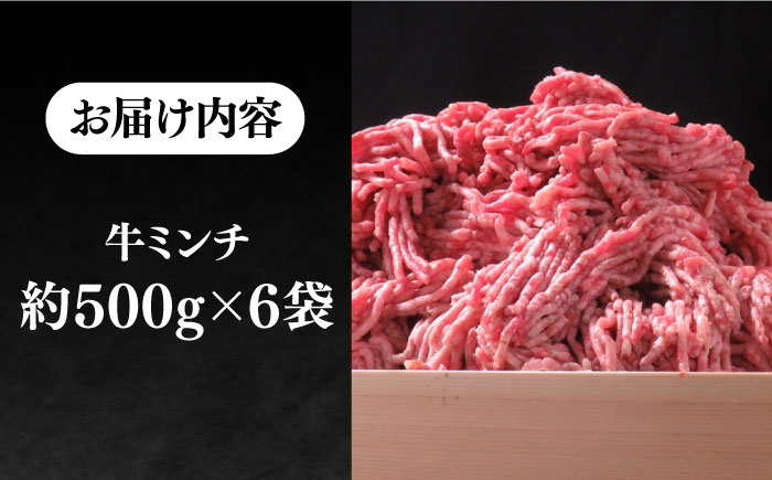 壱岐牛 A5ランク 牛ミンチ 約500g×6《壱岐市》【KRAZY MEAT】[JER042] 小分け ミンチ 挽き肉 ひき肉 牛肉 赤身 ハンバーグ 肉 個包装 34000 34000円