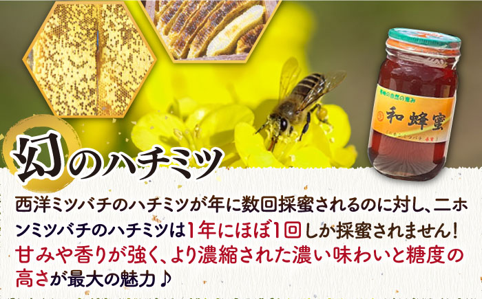 和蜂蜜（ニホンミツバチ）300g×2本＋300gパッカー 《壱岐市》【和蜂ファーム壱岐】[JDP002] ハチミツ 蜂蜜 はちみつ 日本ミツバチ 50000 50000円 5万 [JDP002]