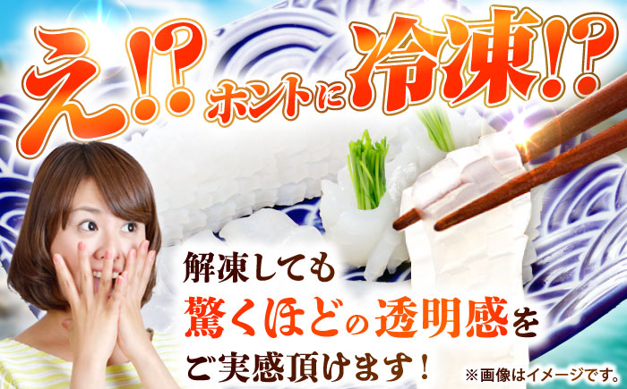 【冷凍】アオリイカ 刺身用 500g　水烏賊 《壱岐市》 【一支國屋】海鮮 烏賊 イカ いか 刺身 刺し身 お刺身 アオリイカ 冷凍配送 [JCC023]