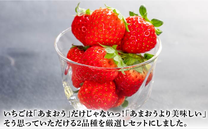 お徳用 バラ詰め イチゴ 1kg （ゆめのか・恋みのり）《壱岐市》【蒼花】[JEO002-CP02] いちご イチゴ 苺 フルーツ 果物 スムージー ジャム ゆめのか 恋みのり セット 食べ比べ 冷蔵 8000 8000円