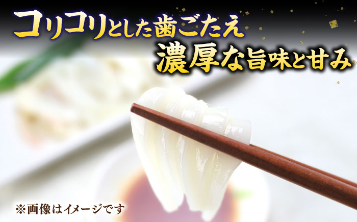 【全3回定期便】旬のイカ刺身1kg前後《壱岐市》【馬渡水産】イカ いか 烏賊 剣先 アオリ あおり スルメ するめ 刺身 刺し身 お刺身 海鮮 魚貝 冷凍配送 産地直送 [JAQ031]