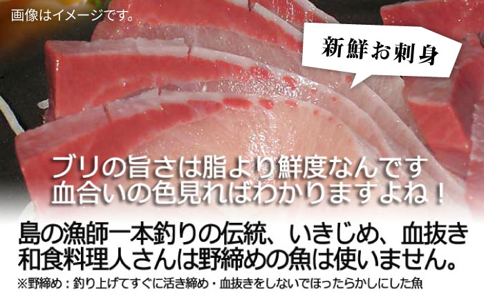 壱岐島産天然寒ブリ（12ｷﾛ台・3枚おろし） [JBS111]