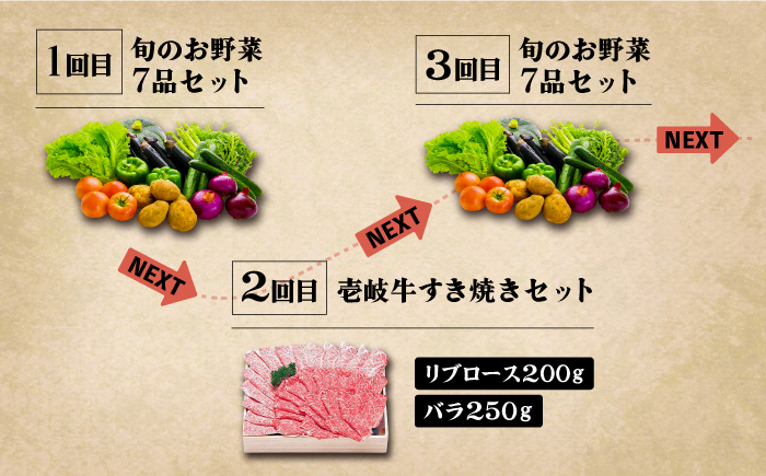 【全6回定期便】《A4〜A5ランク》壱岐牛と旬の野菜定期便《壱岐市》【壱岐市農業協同組合】 [JBO078] 壱岐牛 肉 黒毛和牛 野菜 旬 詰め合わせ 贅沢 BBQ 150000 150000円