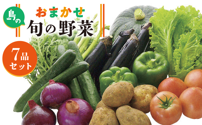 旬の野菜 7品セット 《壱岐市》【壱岐市農業協同組合】[JBO001] 野菜 ベジタブル 食材 詰め合わせ 産地直送 野菜セット グルメ 春 夏 秋 冬 旬 サラダ 冷蔵 夏野菜 スムージー 8000 8000円