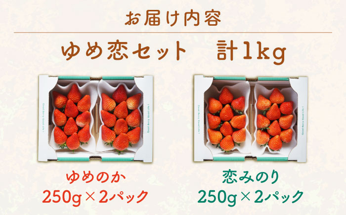 ゆめ恋セット（ゆめのか・恋みのり）計1kg《壱岐市》【蒼花】[JEO001] いちご イチゴ 苺 フルーツ 果物 スムージー ジャム ゆめのか 恋みのり セット 食べ比べ 小分け パック 冷蔵 あまおう 15000 15000円