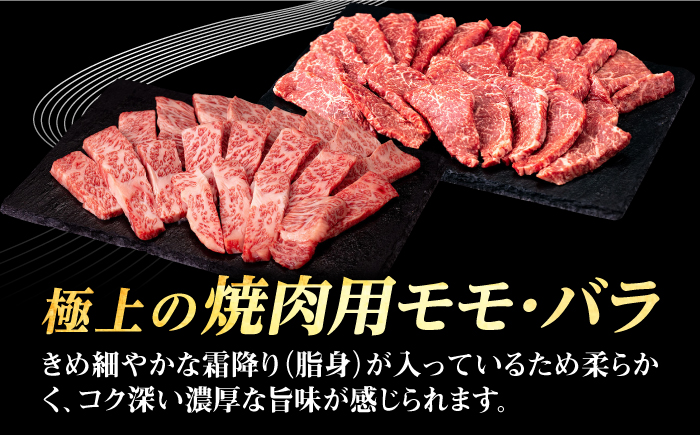 【全2回定期便】 壱岐牛 焼肉用 モモ・バラ（カルビ） 500g《壱岐市》【株式会社イチヤマ】 肉 牛肉 焼肉 モモ バラ カルビ BBQ [JFE125]